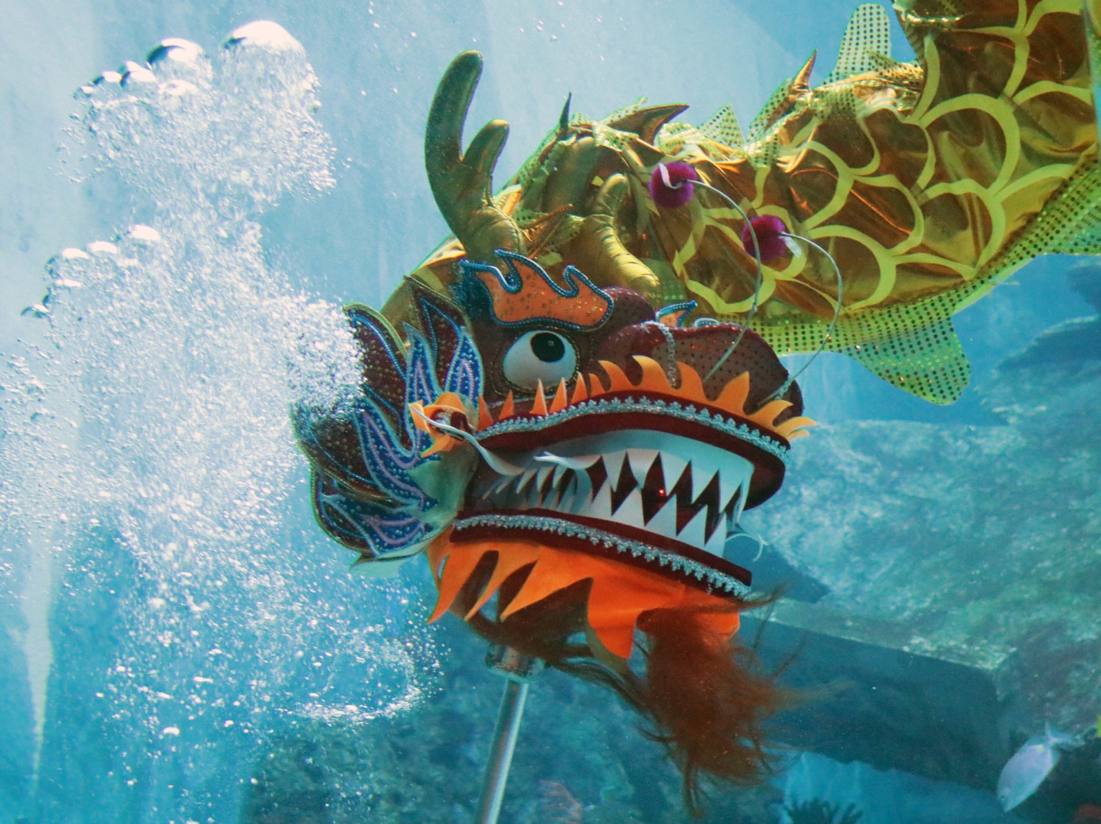 [TEST] Think SG is Boring? These Amazing Activities Including an Underwater Dragon Dance Will Prove You Wrong! - WORLD OF BUZZ 10
