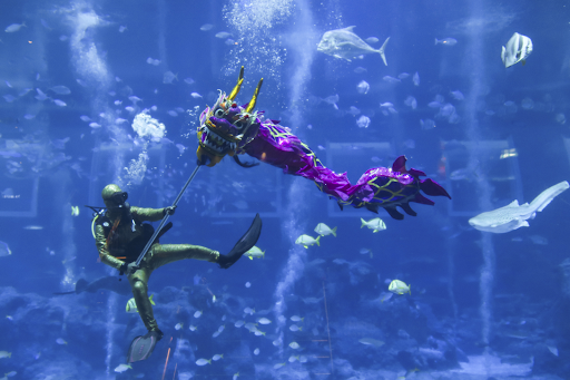[TEST] Think SG is Boring? These Amazing Activities Including an Underwater Dragon Dance Will Prove You Wrong! - WORLD OF BUZZ 12