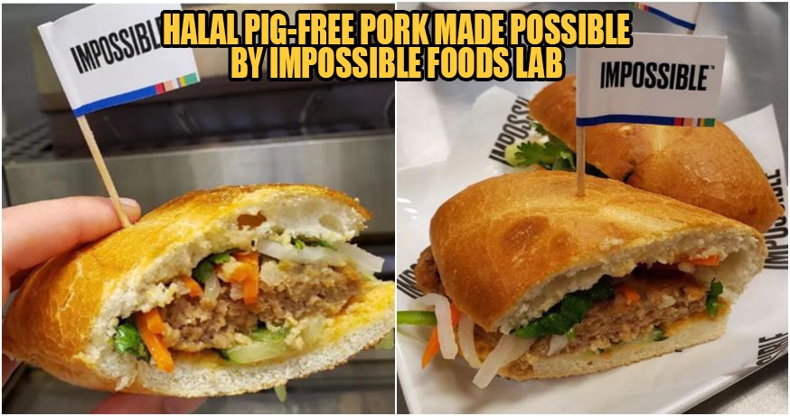 The First-Ever Vegan Pig-Free Pork Has Been Created, & This Muslim Girl Reviewed It! - WORLD OF BUZZ