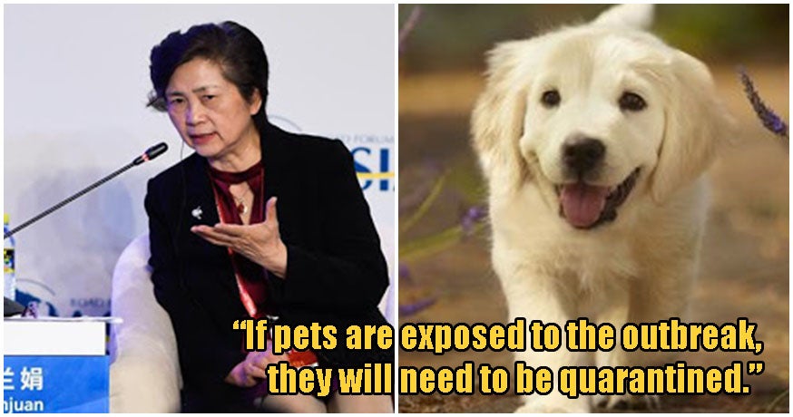 Top Virus Expert Warns That Wuhan Virus Can Transmit To Household Pets Too, Not Just Humans - World Of Buzz