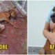 Touching Photos Show Dog'S Journey From Having Its Mouth Tied &Amp; Starved To Being Adopted - World Of Buzz 11