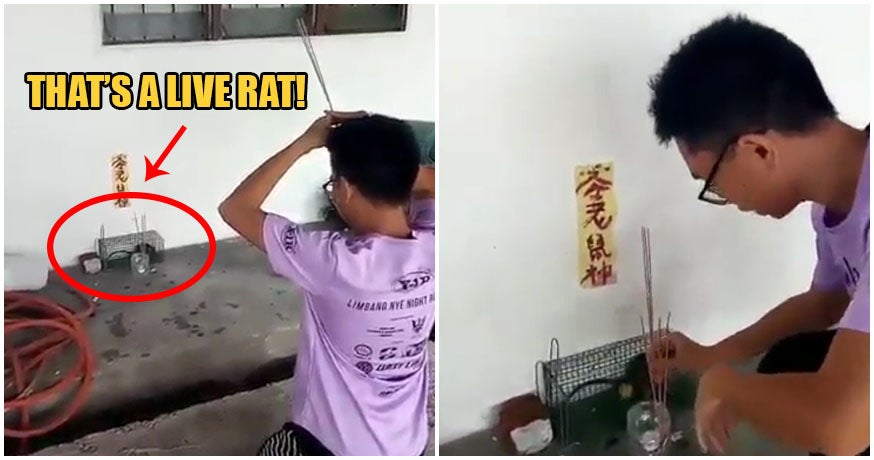 Video: M'sian Man Catches Rat In Cage Then Prays To It Because It's The Year of The Rat - WORLD OF BUZZ
