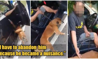 Video: Two M'Sian Men Rescue Injured Dog From Owner Who Wanted To Abandon It - World Of Buzz