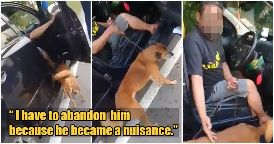 Video: Two M'sian Men Rescue Injured Dog From Owner Who Wanted To Abandon It - WORLD OF BUZZ