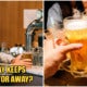 A Beer A Day Can Increase Your Chances Of Living Up To 90, According To Research - World Of Buzz