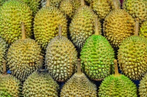 Best Durians Malaysia