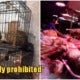China Officially Places Permanent Ban On Trade &Amp; Consumption Of Wild Animals - World Of Buzz 4