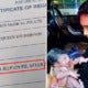 Woman Gives Birth In Car On The Way To Hospital, Birth Cert Shows He Was Born &Quot;Inside A Jeep On Pie&Quot; - World Of Buzz