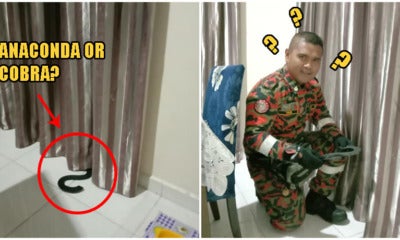 Kelantan Person Freaks Out Finding 'Snake' Hiding In Curtains, Quickly Calls Abang Bomba For Rescue - World Of Buzz 1