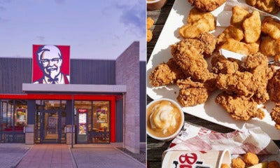 Kfc Is Looking For A Professional Chicken Taster. Could You Be The One? - World Of Buzz