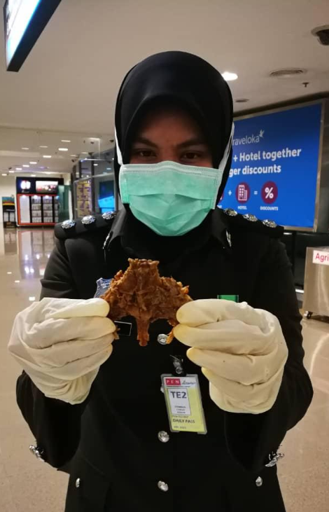 Man Gets Caught Smuggling DRIED RAT MEAT Into Penang Airport Amid Wuhan Coronavirus Fears - WORLD OF BUZZ 1