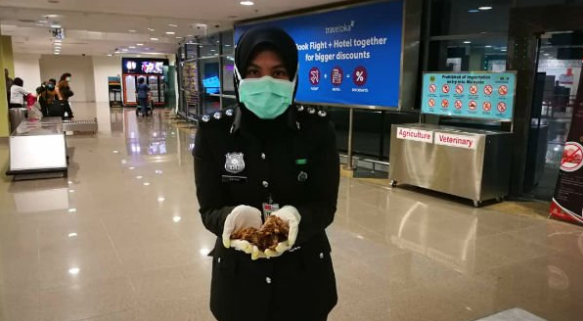 Man Gets Caught Smuggling Dried Rat Meat Into Penang Airport Amid Wuhan Coronavirus Fears - World Of Buzz 2