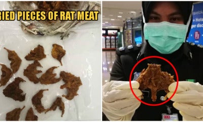 Man Gets Caught Smuggling Dried Rat Meat Into Penang Airport Amid Wuhan Coronavirus Fears - World Of Buzz 4