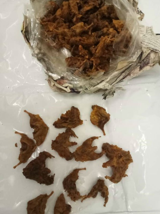 Man Gets Caught Smuggling Dried Rat Meat Into Penang Airport Amid Wuhan Coronavirus Fears - World Of Buzz