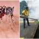 Moh: M'Sia Has Recorded More Than 20,000 Dengue Cases, 24 Deaths In Just 7 Weeks! - World Of Buzz 4