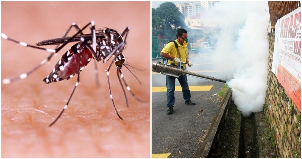 Moh: M'Sia Has Recorded More Than 20,000 Dengue Cases, 24 Deaths In Just 7 Weeks! - World Of Buzz 4