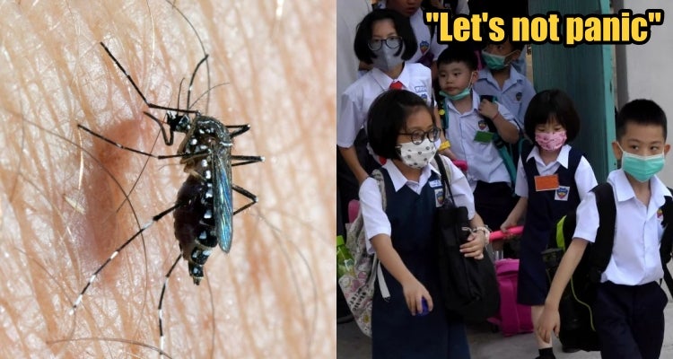 M'sian Doctor: We Should Worry About Getting Influenza A & Dengue Instead Of The Wuhan Virus - WORLD OF BUZZ 4