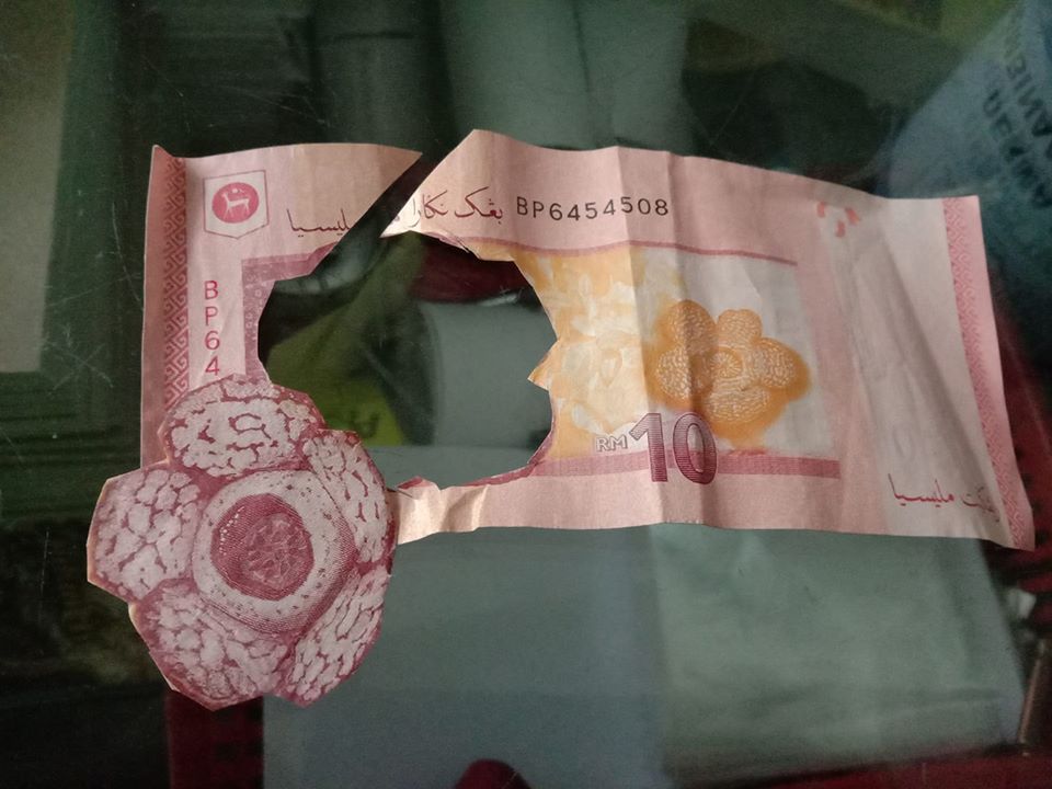 M'sian Father Hilariously Shares How Young Child Cut Out 'Flower' From RM10 Note for Homework - WORLD OF BUZZ