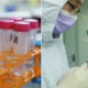 Novel Coronavirus Vaccine Sample Has Been Developed &Amp; Has Started Animal Trials - World Of Buzz 1