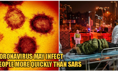 Researchers: Coronavirus May Be 20 Times More Likely To Bind To Human Cells Than Sars - World Of Buzz 4