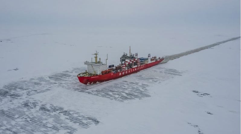 Scientist: Polar Bears Are Eating Their Females And Cubs Due To Lack Of Food Source - World Of Buzz 2