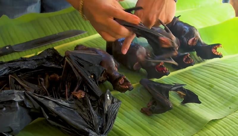 Some Markets In Indonesia Are Still Selling Bat Meat Despite Outbreak of Coronavirus - WORLD OF BUZZ 1