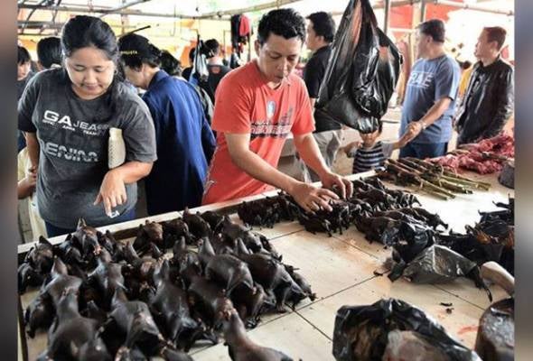 Some Markets In Indonesia Are Still Selling Bat Meat Despite Outbreak Of Coronavirus - World Of Buzz 2