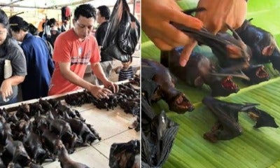 Some Markets In Indonesia Are Still Selling Bat Meat Despite Outbreak Of Coronavirus - World Of Buzz 3