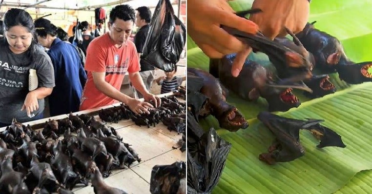 Some Markets In Indonesia Are Still Selling Bat Meat Despite Outbreak Of Coronavirus - World Of Buzz 3