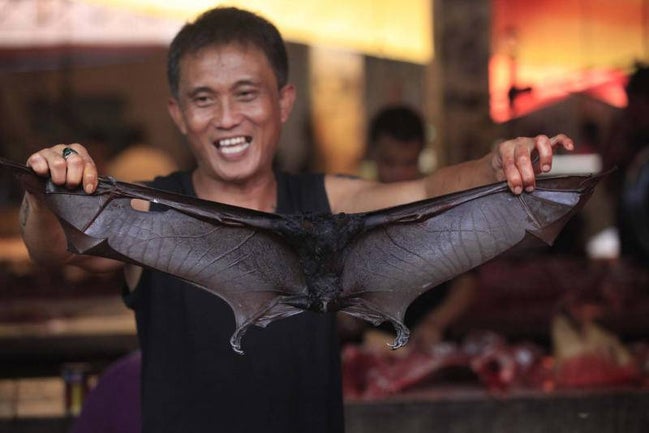 Some Markets In Indonesia Are Still Selling Bat Meat Despite Outbreak Of Coronavirus - World Of Buzz