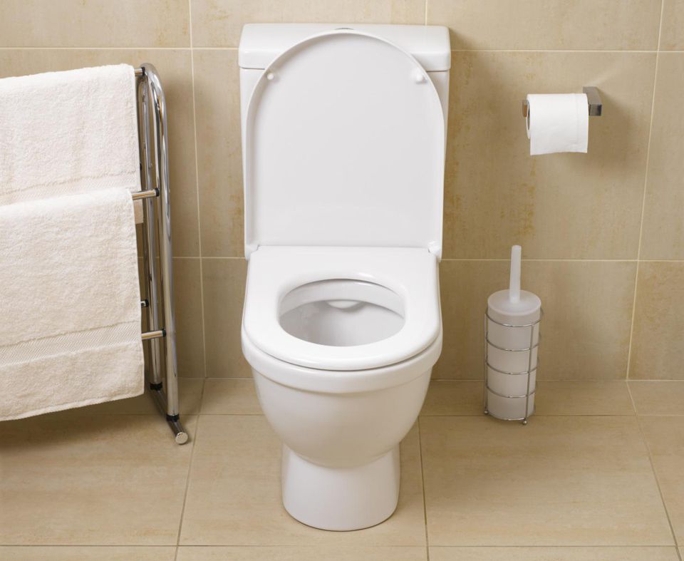 Study: Flushing Toilet Without Closing Lid Can Cause 80,000 Bacteria Droplets to Linger for Hours - WORLD OF BUZZ 1