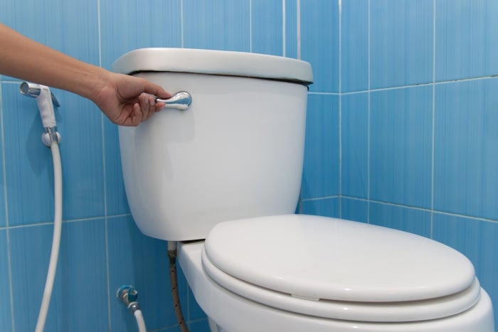 Study: Flushing Toilet Without Closing Lid Can Cause 80,000 Bacteria Droplets to Linger for Hours - WORLD OF BUZZ