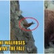 Video: Walruses Crawl &Amp; Tragically Fall Off Cliff In Despair As Global Warming Shrinks Their Habitats - World Of Buzz