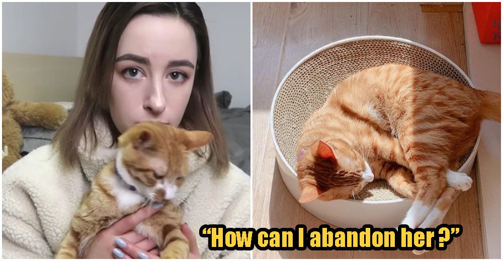 Woman Refused To Leave Wuhan During Lockdown Because She Didn't Want To Leave Her Cat Alone - World Of Buzz