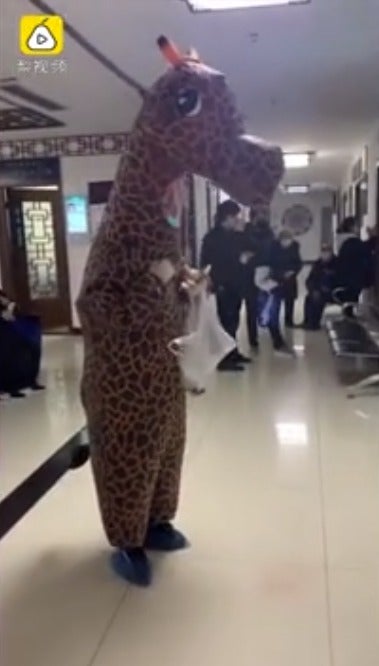 Woman Wears Full Giraffe Costume To Protect Against Coronavirus As She Couldn't Buy Face Masks - WORLD OF BUZZ 1