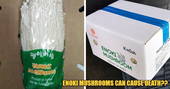32 Ill &Amp; 4 Dead In Us Because Of Consuming Enoki Mushroom - World Of Buzz