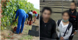 five malaysians caught for attempting to enter australia to work illegally on farms world of buzz 5