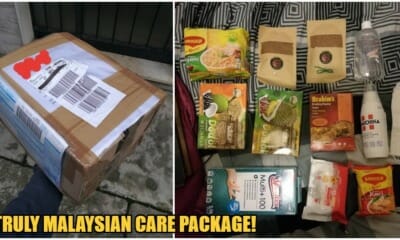 M'Sian Embassy In Italy Sends Covid-19 Care Package That Includes Maggi &Amp; Brahim'S Rendang Packs - World Of Buzz