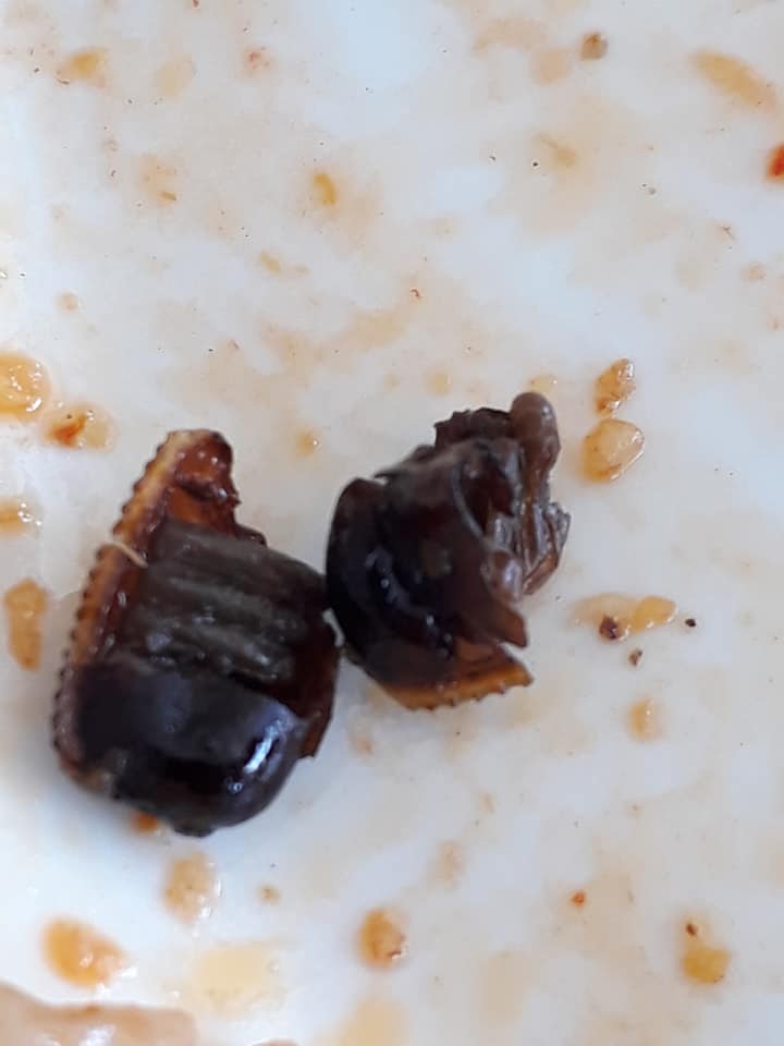 M'sian Finds Cockroach Eggs In His Rice At Sepang Mamak, Warns Netizens To Check Food Before Eating - WORLD OF BUZZ