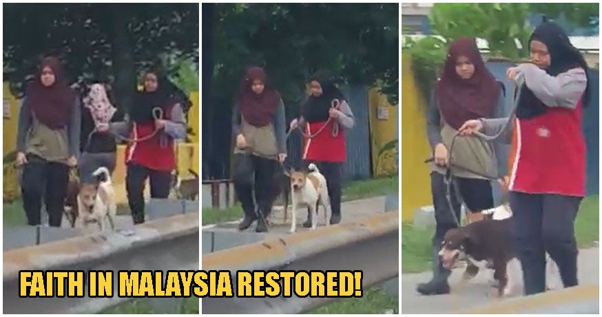 Video: 2 Kind Malay Girls Bring Cute Doggos Out For Walks, Restores Faith Of Harmony In M'sians - WORLD OF BUZZ