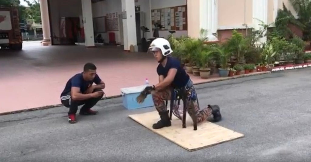Watch: Impressive Abang Bomba Training Video Reaches More Than 5.5 Million Views - World Of Buzz 1