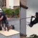 Watch: Impressive Abang Bomba Training Video Reaches More Than 5.5 Million Views - World Of Buzz 4