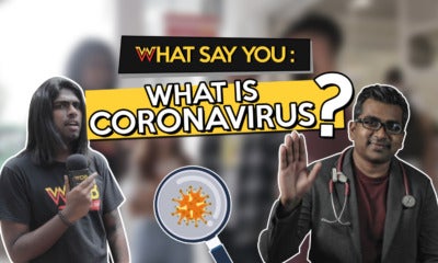 What Say You: What Is Coronavirus? - World Of Buzz