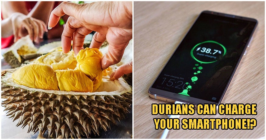 Your Favourite Durian Can Potentially Replace The Batteries In Your Smartphone &Amp; Super-Charge Them - World Of Buzz 1