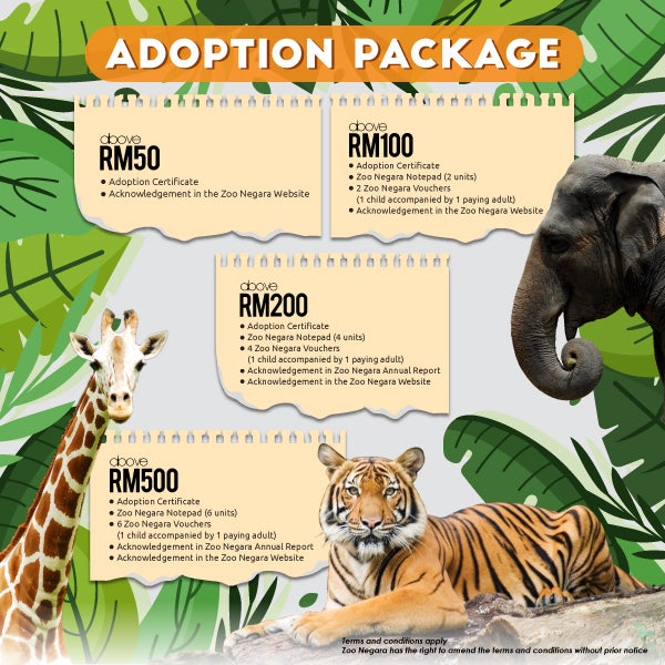 Zoo Negara Seeks For Donations To Cover Operational Costs As Their Income Had Plunged Amidst Mco - World Of Buzz