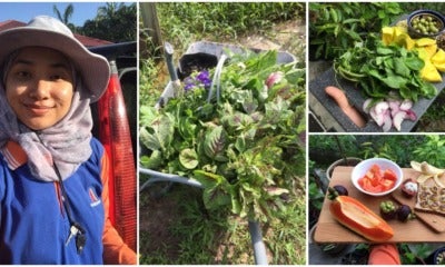 27Yo M'Sian Masters Grad Gives Up Life In City, Moves Back To Kampung To Become Farmer - World Of Buzz 9