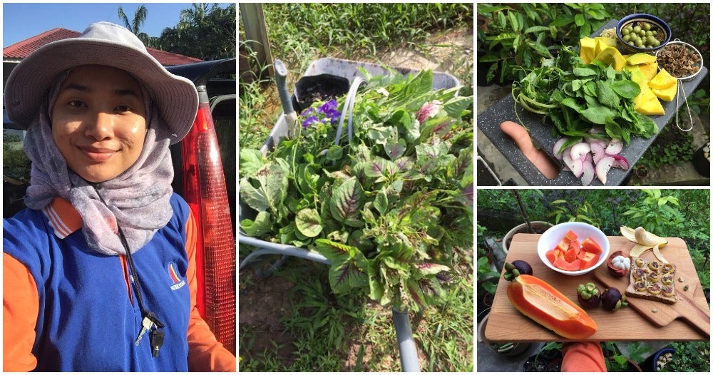 27Yo M'Sian Masters Grad Gives Up Life In City, Moves Back To Kampung To Become Farmer - World Of Buzz 9