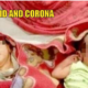 Corona And Covid Are Names Given Newborn Twins By Their Parents - World Of Buzz 2
