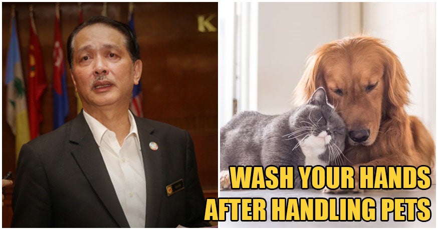 Health D-G: Avoid Close Contact With Animals, Continue Maintaining Good Hygiene Habits - World Of Buzz