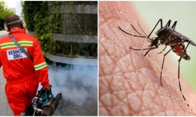 It'S Only April But There Are Already 34,755 Cases Of Dengue Fever Reported Nationwide - World Of Buzz 1
